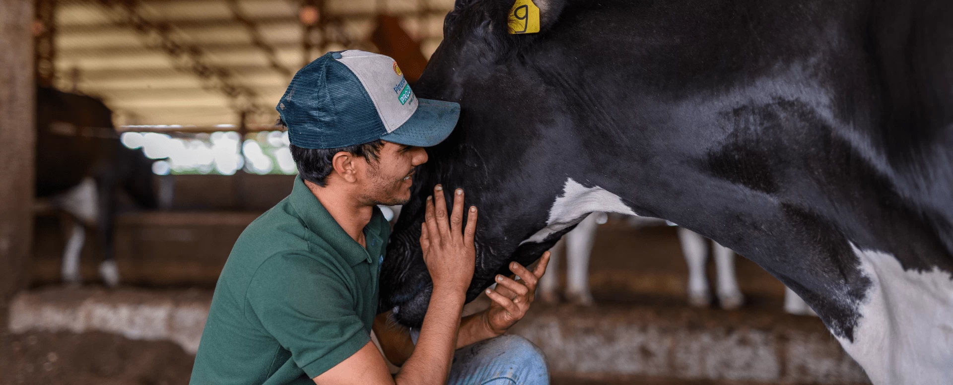 Bem-estar e comportamento animal: cuidar é essencial