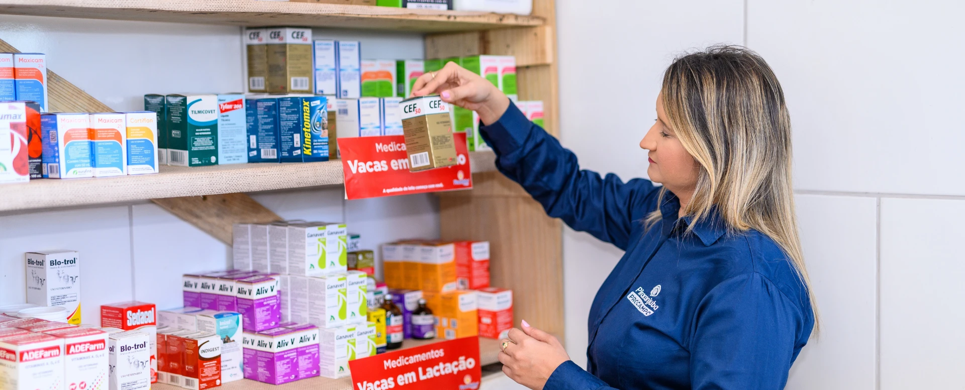 Como usar de forma responsável os antimicrobianos na produção de leite?