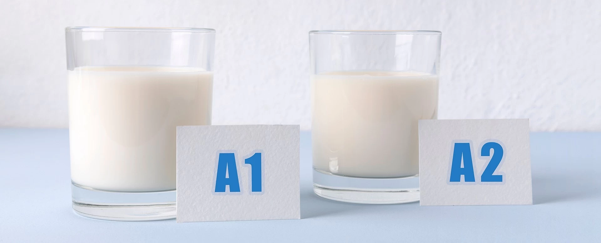 3 verdades sobre o leite A2