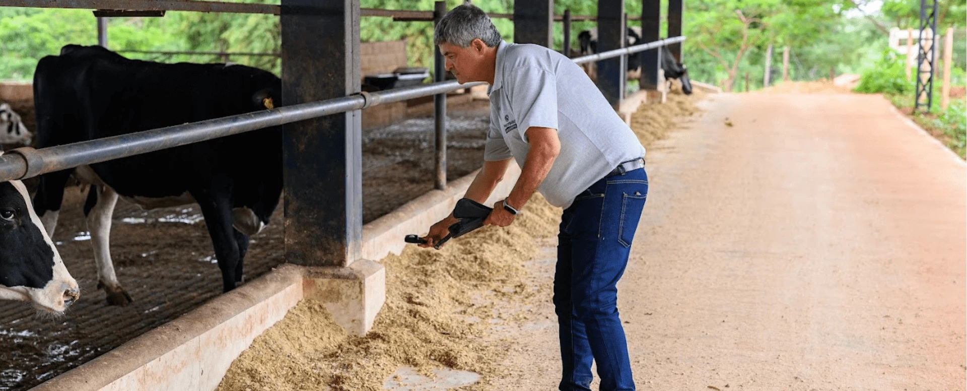 O que a luz tem a ver com o bem-estar animal?