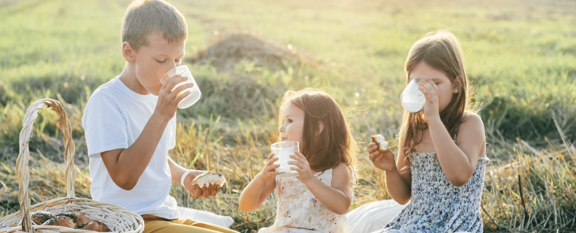 Cálcio: por que ele é essencial para a saúde dos ossos e como consumir mais?
