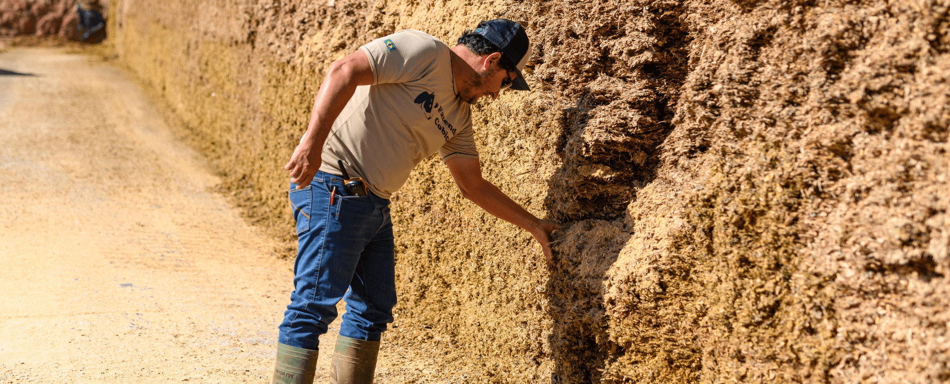 Manejo de silagem: o segredo para manter a produção de leite na seca