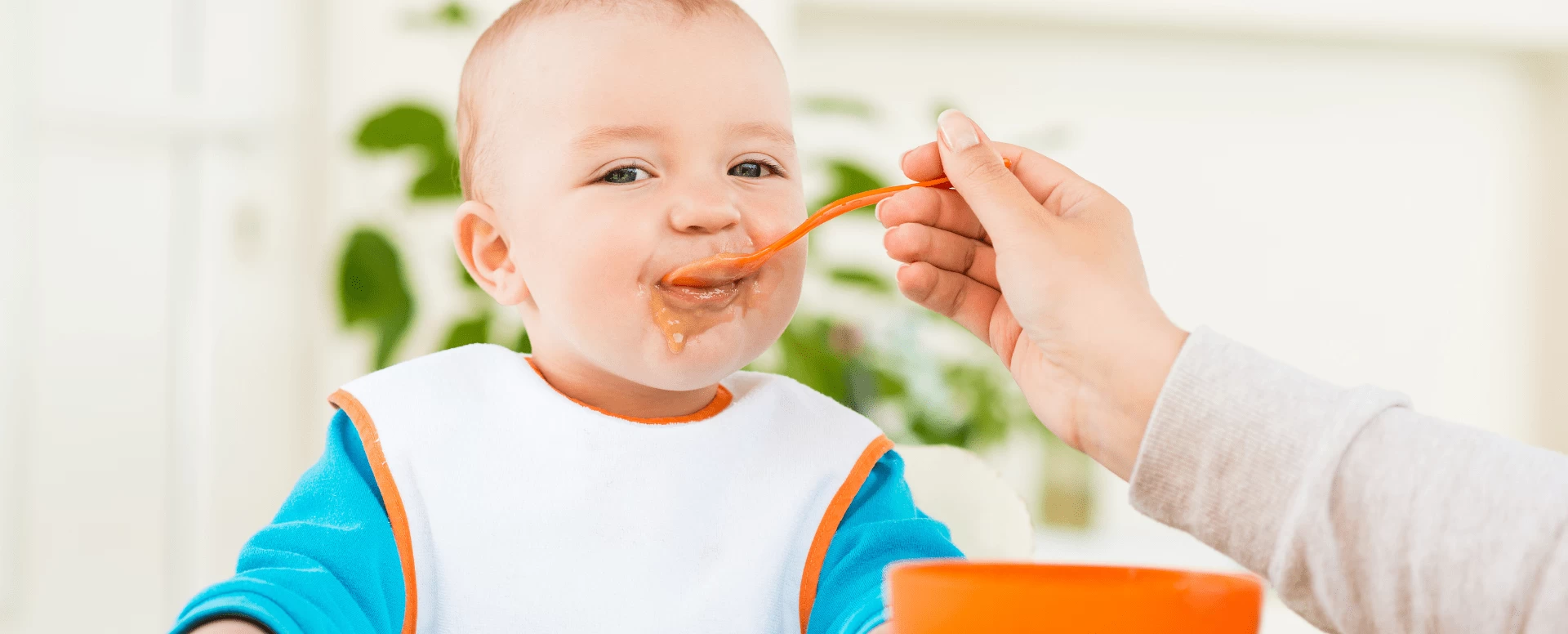 Estratégias nutricionais para introdução alimentar