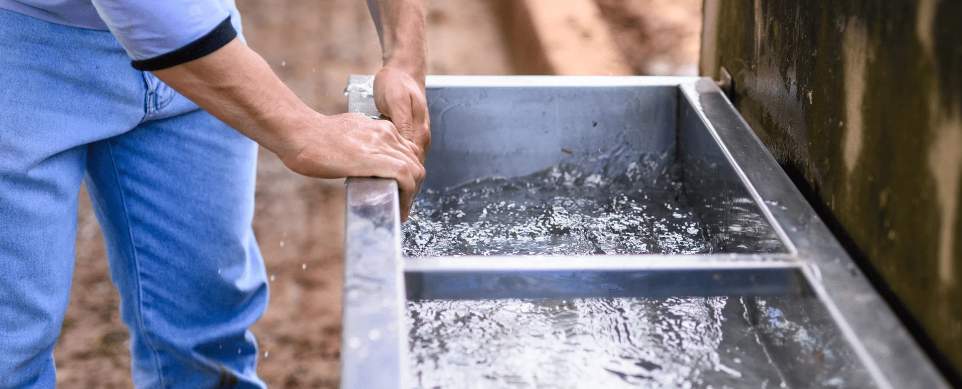 Importância da qualidade da água na pecuária leiteira