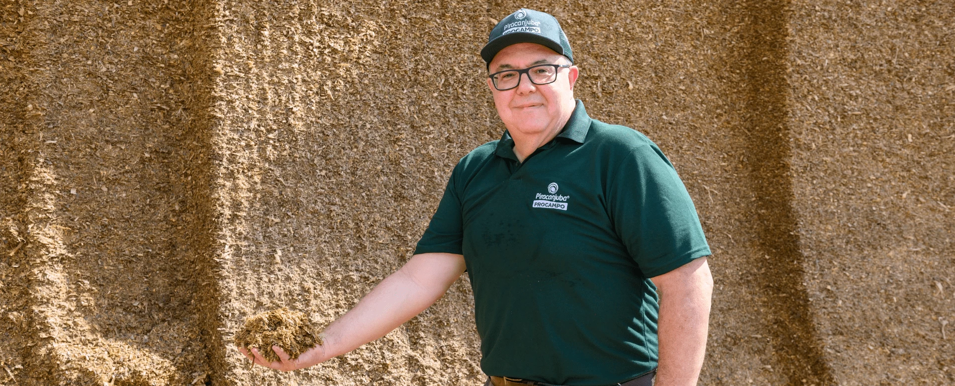 Qualidade da Silagem: o segredo para o melhor manejo nutricional do rebanho