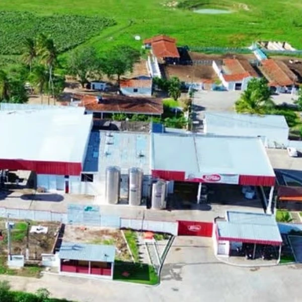 CADE aprova aquisição do Laticínio Sertão pelo Grupo Piracanjuba