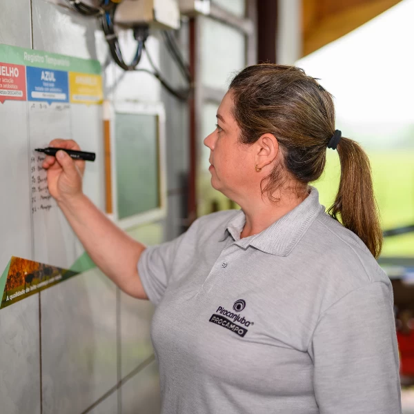 Transparência na gestão e comunicação: o caminho para uma pecuária leiteira mais eficiente