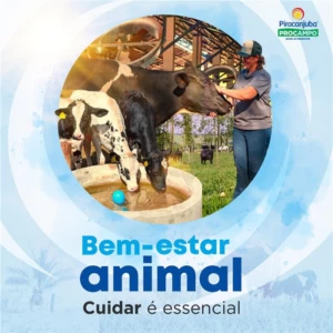 Bem-Estar Animal