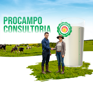 ProCampo Consultoria