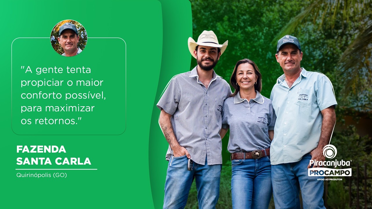 PROCAMPO VIDEO