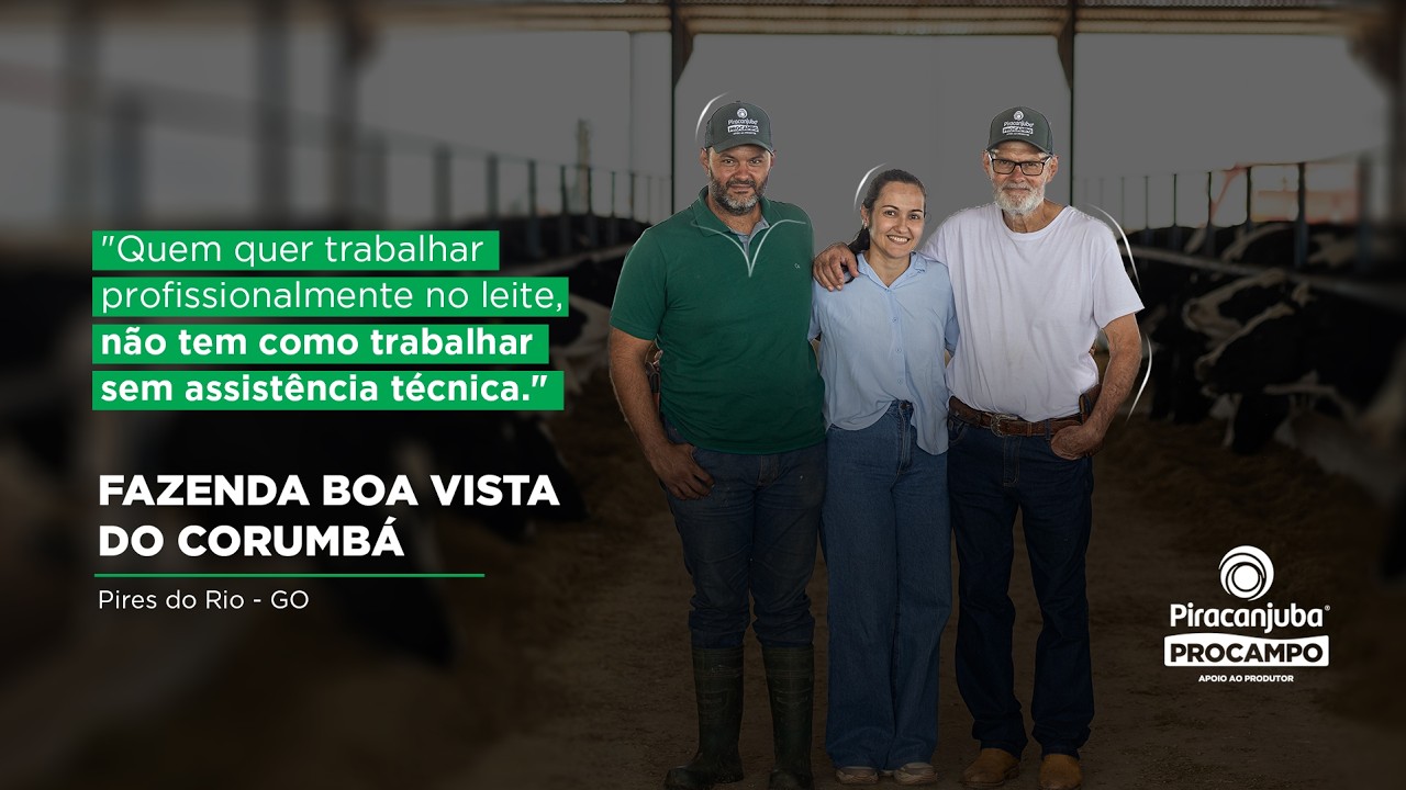 PROCAMPO VIDEO