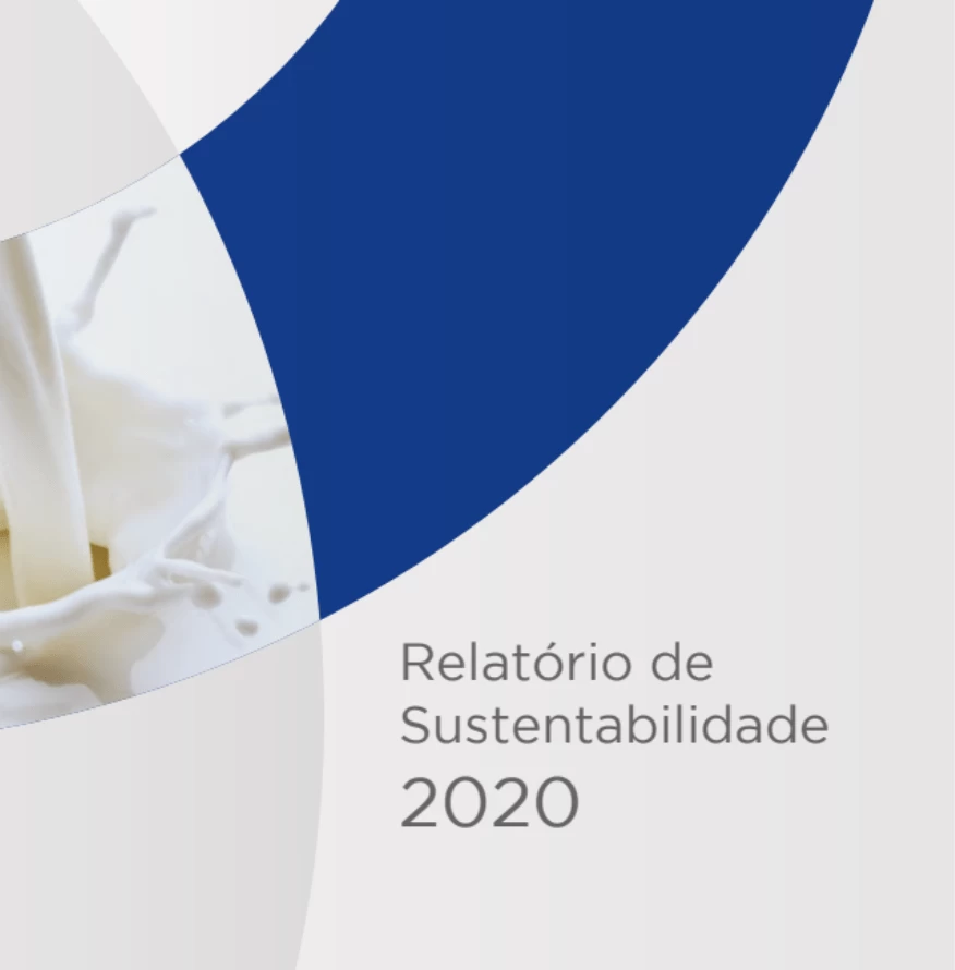 Relatório de Sustentabilidade 2020
