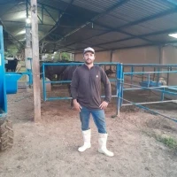 Maxwell Henrique dos Reis