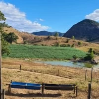 Nelson José Dantas Colen